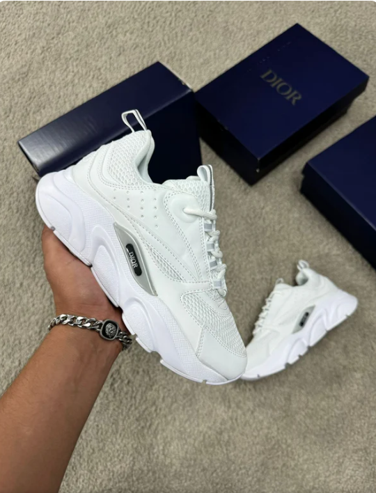 Dior B22